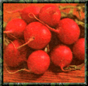 
Winter radish
